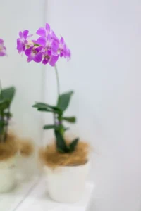 Foundation Dental Services flower display